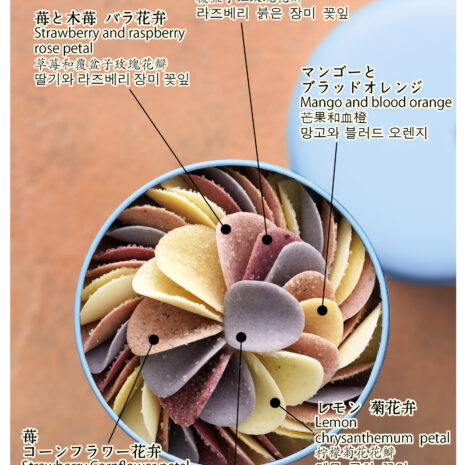 ペタルビオレ2024プログレス_図解 ペタルビオレ2024プログレス_図解