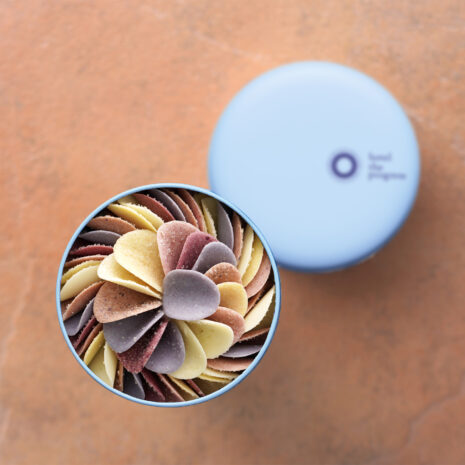 ペタルビオレ_プログレスmini ペタルビオレ_プログレスmini