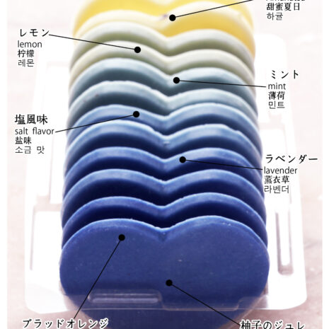 フレンチワルツインディゴ_図解 フレンチワルツインディゴ_図解