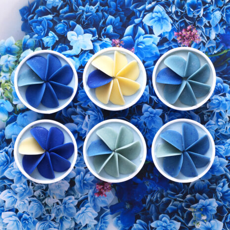 ペタルフルールインディゴ2025_1