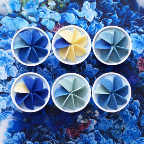 ペタルフルールインディゴ2025_2 ペタルフルールインディゴ2025_2